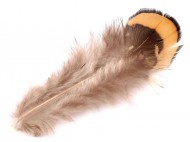 Bažantí peří délka 4-9 cm - zvětšit obrázek