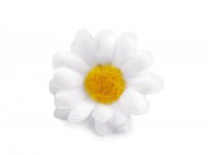 Umělý květ kopretina 4 cm