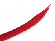 Husí peří - osten / brka délka 15-23 cm - zvětšit obrázek