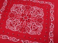 Bavlněný šátek paisley 55x55 cm - zvětšit obrázek