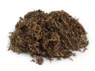 Dekorační mech 20 g - zvětšit obrázek