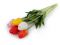 Umělý tulipán