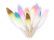 Peří ombré s glitry délka 10-14 cm - zvětšit obrázek
