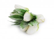 Umělý tulipán na drátku, vintage styl 1 bílá, 6 ks - zvětšit obrázek