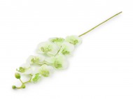 Umělá orchidej dlouhá 2 zelená sv., 1 ks - zvětšit obrázek