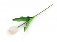 Umělý tulipán dlouhý 1 krémová nejsvět., 1 ks - zvětšit obrázek