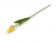 Umělý tulipán dlouhý 2 žlutá, 1 ks - zvětšit obrázek