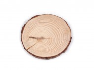 Přírodní dřevěné kolečko / podložka k domalování a dotvoření 2. jakost 1 (14 cm) přírodní, 1 ks - zvětšit obrázek