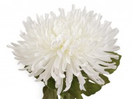 Umělá chryzantéma 4 (18 cm) bílá otevřená, 1 ks - zvětšit obrázek